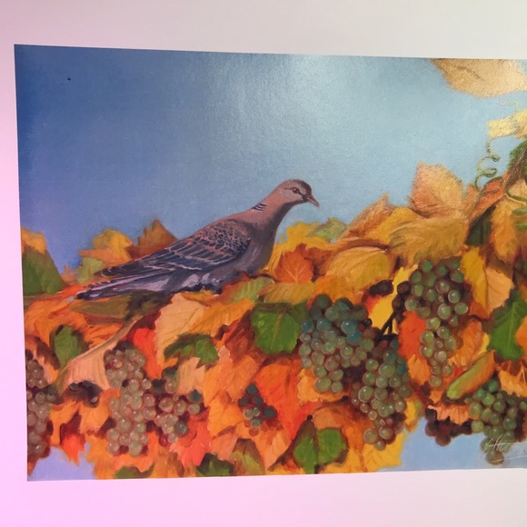 Print dove in vineyard art artwork direct from artist collectible USA Artettina - Picture 2 of 3